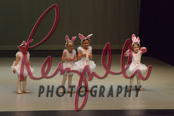 R-1338