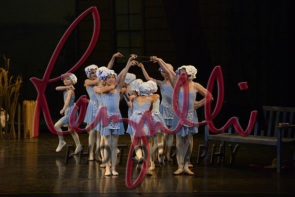 DSC_0978