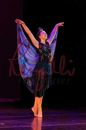 DRESS-24531