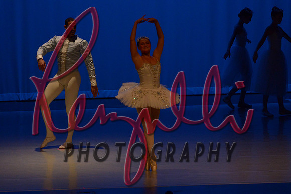ADA_8298