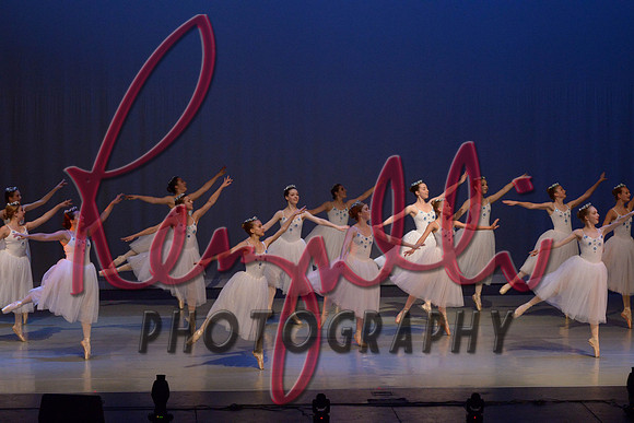 ADA_8562
