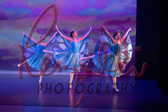 DR-3655