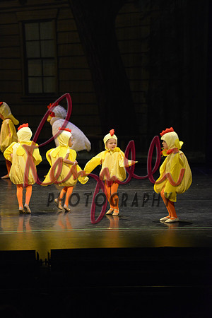 DSC_1615
