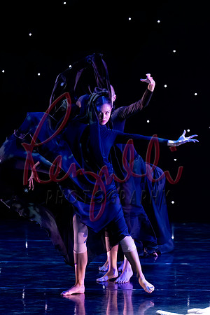 DRESS-2695