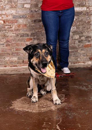AER_7894-Edit