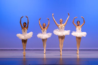 Apprentice Ballet_Swan Corps