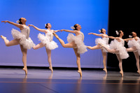 Principal Ballet_Swan Corps