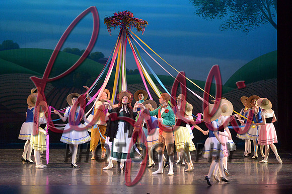 DSC_3140