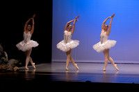 Principal Ballet_Mature Swans